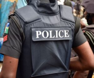 Police Recover 2 Stolen Vehicles, Arrest Suspect In Adamawa