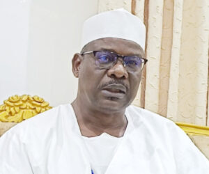 B/Haram not killing only Christians in N/East – Ndume – Daily Trust
