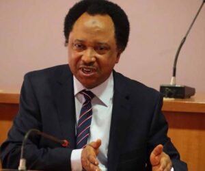 Shehu Sani reacts to Jonathan’s statement on Nigerian politics