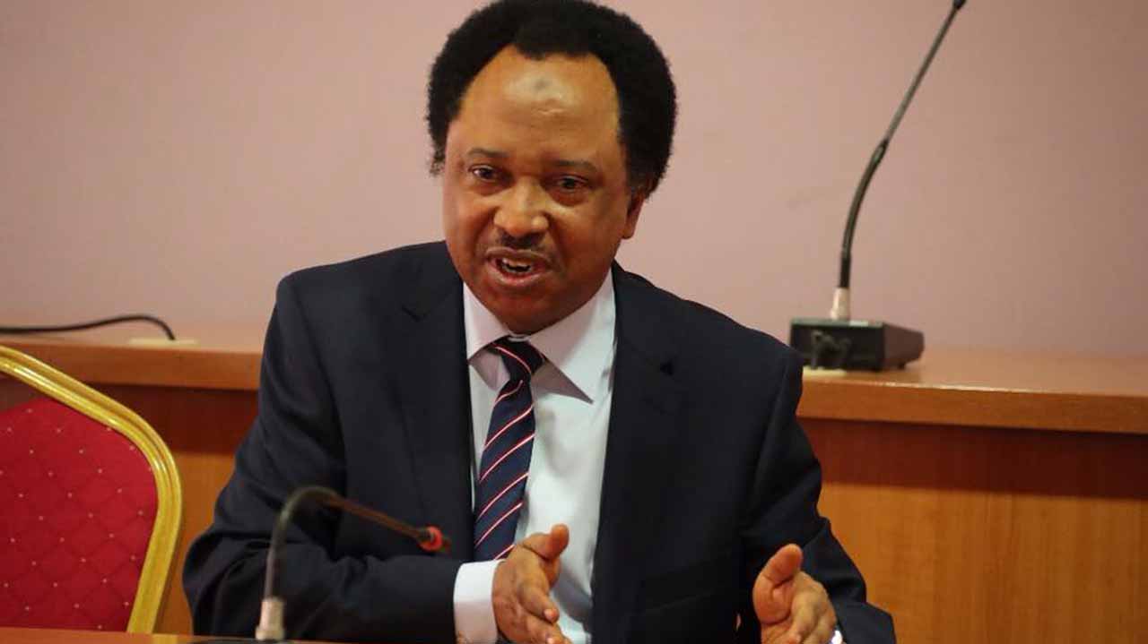 Shehu Sani reacts to Jonathan’s statement on Nigerian politics