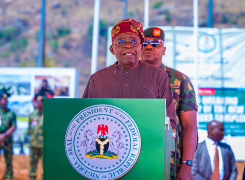 Tinubu blames opposition for early campaigns – Daily Trust