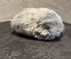 72 hours with Casio’s AI-powered Moflin pet – my dog hates it, my wife hates it, but I love it
