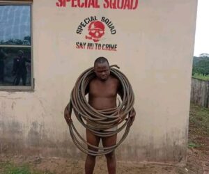 Notorious vandal nabbed in Kogi