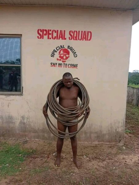 Notorious vandal nabbed in Kogi