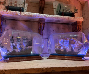 Disney Imagineers built a new animatronic parrot for the Beak and Barrel lounge – and it steals the show