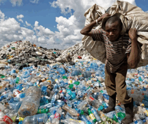 Stop Pretending Waste Pickers Don’t Exist | Tech | Business