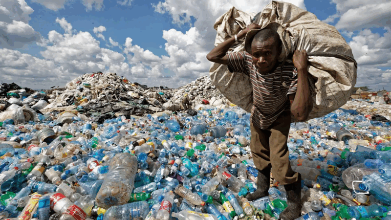 Stop Pretending Waste Pickers Don’t Exist | Tech | Business