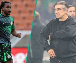 Atalanta Coach Sends Message to Ademola Lookman After Super Eagles Qualify for World Cup Playoffs
