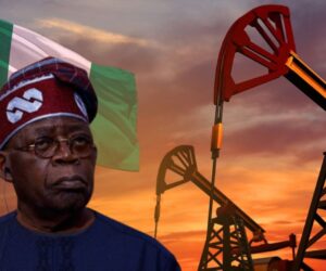 How crucial is Tinubu's re-election to Nigeria's energy sector? Experts' verdict