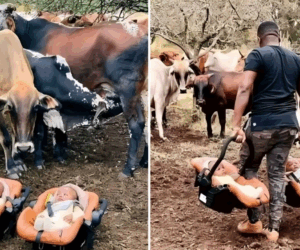 5 Africa’s Strangest Paternity Rituals