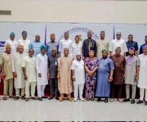 NILDS D-G Tasks Plateau Assembly On Legislative Intervention To Restore Peace