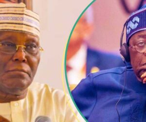 Nigeria @ 65: Atiku’s Aide Faults Tinubu’s Independence Day Speech, “The Fruit is Still Bitter”
