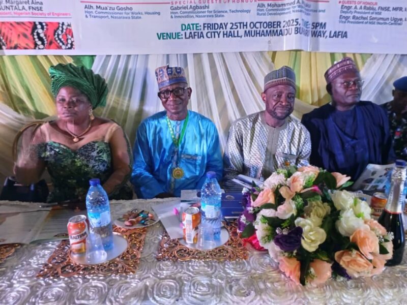 Lithium processing investments in Nasarawa hit $850m