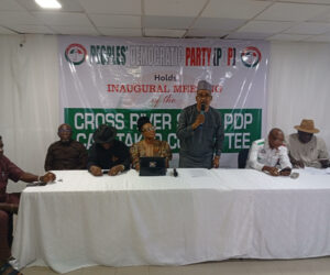 PDP suffering painful consequences of disunity
