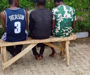 NSCDC Nabs 3 Suspected Drug Dealers In Kano