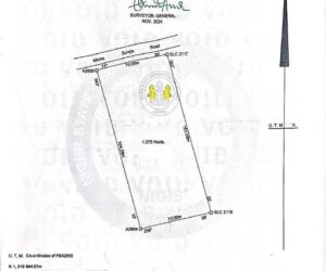 Niger Governor Bago Allegedly Gifts N1billion Waterboard Land Meant For Public Use To Ally, Shehu Kabiru