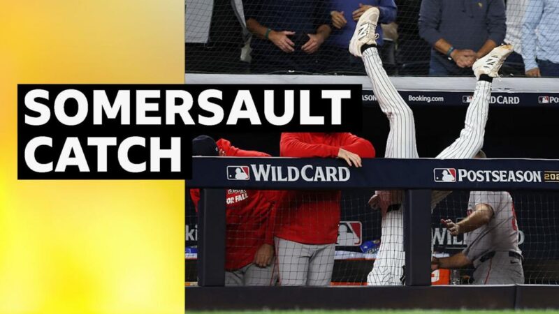 Yankees' McMahon flies into dugout to make fearless catch
