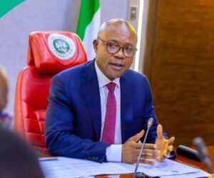 After Mbah’s Defection: Full List of States Under APC Control