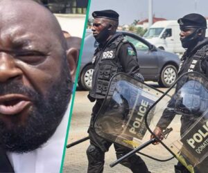 ‘Free Nnamdi Kanu’ Protest: Presidency Takes Strong Action Against IPOB Leader’s Lawyer