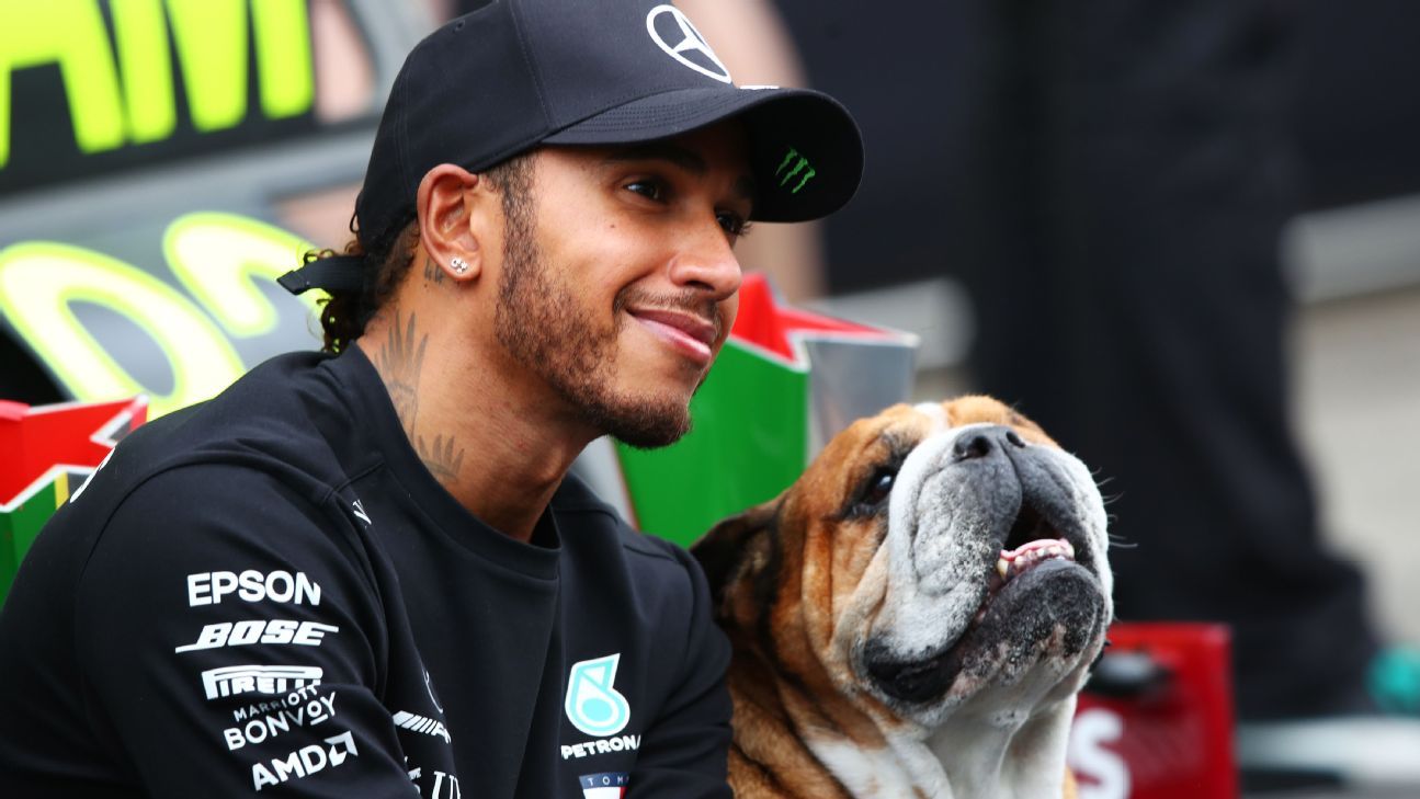 Hamilton’s love for Roscoe made F1 superhero relatable, human