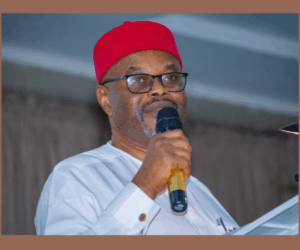 Certificate Forgery: Group demands Nnaji’s resignation