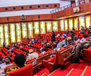 Senate gives Edun, Bagudu two weeks to present 2024 budget performance report