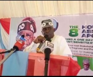 Adamawa APC stakeholders applaud Tinubu’s achievements