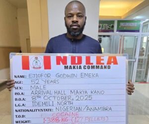 NDLEA arrests businessman at Kano airport with ‘127 wraps of cocaine hidden in private part’