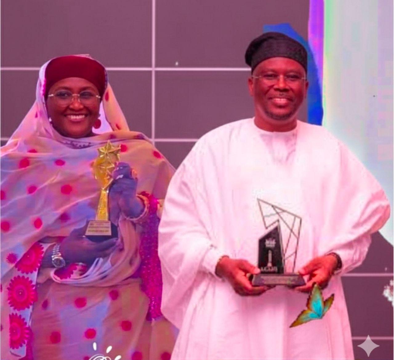 Fintiri: The Infrastructure And Digital Governor