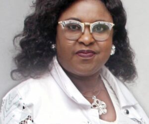 Fellow urges FG, states to increase funding for disaster prevention