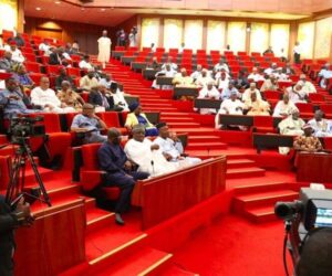 Senate Sets Up Committee On Christian Genocide Claims