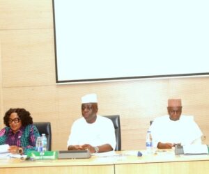 FG, states, LGAs shared over N2trn in September | VAT revenue increased by N150bn – FAAC