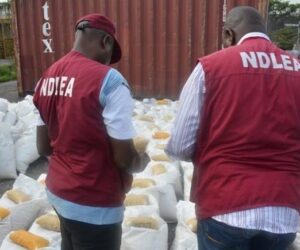 US, UK, DRC-bound illicit drug consignments intercepted in frozen snails, electrical bulbs