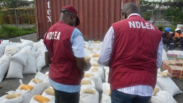 US, UK, DRC-bound illicit drug consignments intercepted in frozen snails, electrical bulbs