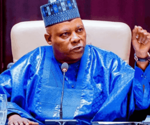FG to invest $220m in creating job opportunities for young Nigerians – Shettima