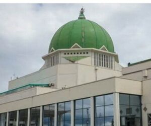 NASS Joint Committee Approves Additional State For South-East