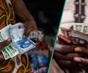 Naira Exchange Rate Rises by N10 Against US Dollar