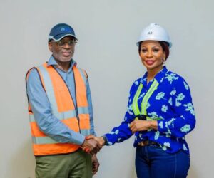 South-South Commission, LPV Technologies Partner On Youth Training, Solar Access