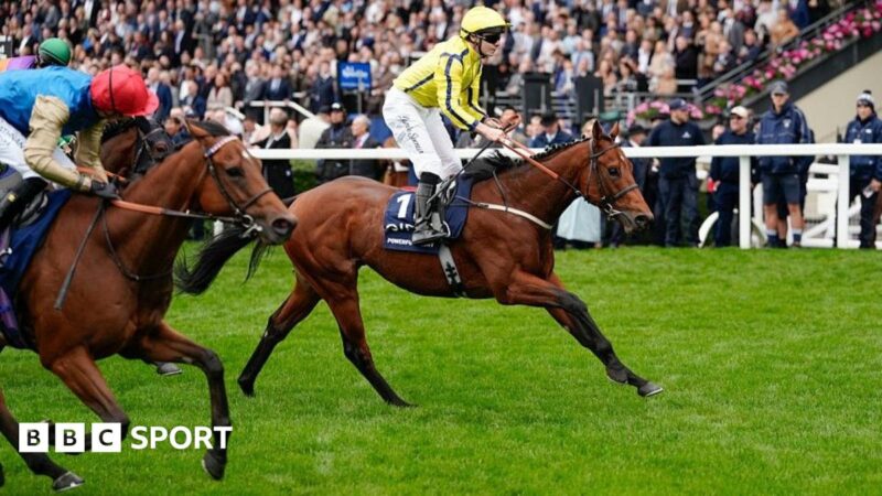 Powerful Glory wins at 200-1 at Ascot as Calandagan lands Champion Stakes