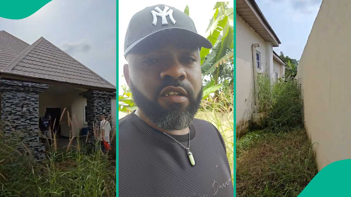 Man Who Returned to His House in Village after 10 Months Cries out over What He Saw, Shares Video