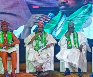 Pate seeks improved political will, unified commitment to strengthen Nigeria’s health system