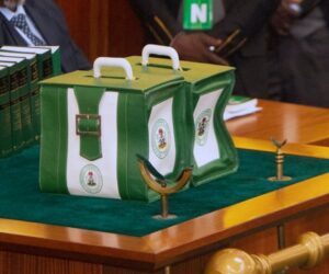 2026 budget presentation may stall as Senate demands