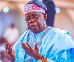 Tinubu Likely To Win Middle Belt In 2027 – Sam Amadi