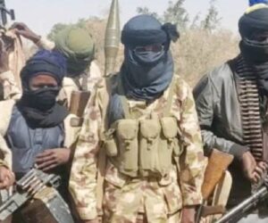 Terrorists Invade Niger Community, Abduct Prominent Lawyer, Other Residents