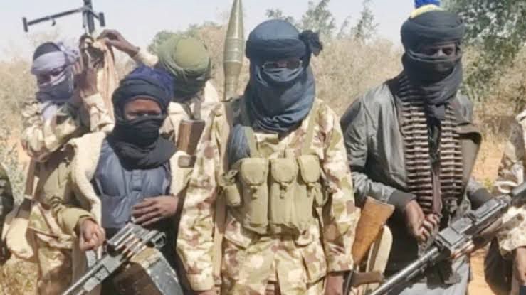 Terrorists Invade Niger Community, Abduct Prominent Lawyer, Other Residents