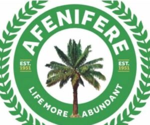 Why Terrorists are Attacking Kwara, Kofi Communities – Afenifere