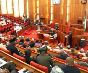 Senate to Address Allegations of ‘Systematic Christian Genocide’ in Nigeria