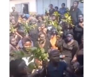 Southern Kaduna Farmers Protest Herders’ Attacks, Demand Action