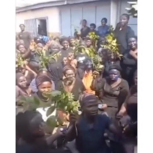 Southern Kaduna Farmers Protest Herders’ Attacks, Demand Action