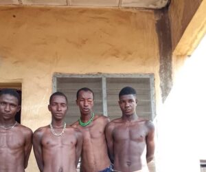 Kwara Community Youths Nab Seven Suspected Bandits in Vigilant Operation